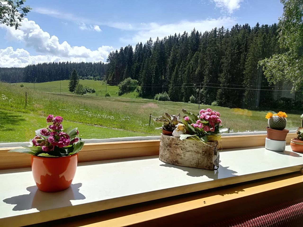 Akzent Hotel Kaltenbach トリベルク エクステリア 写真